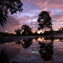 Indiana Bezzina - Aussie purple sunset