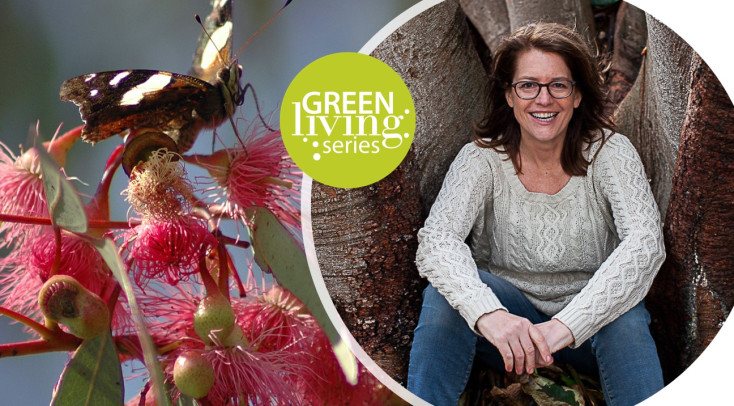 Growing Native Gardens with AB Bishop