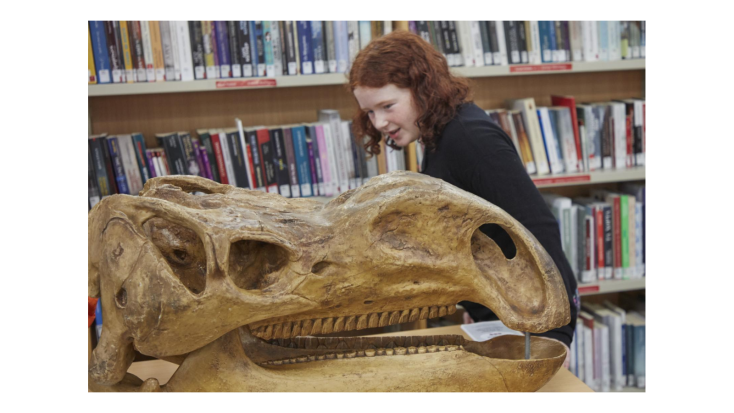 Dinosaur Discovery with Museums Victoria - Point Cook