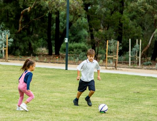 Fortitude Drive Reserve Master Plan