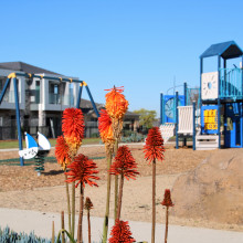Park Upgrade