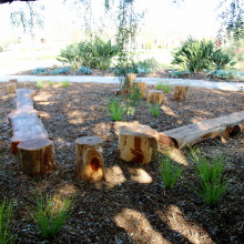 Park Upgrade