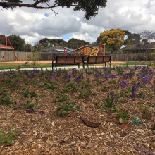 Park Upgrade