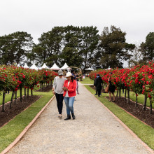 State Rose & Garden Show 2019 