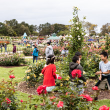State Rose & Garden Show 2019 