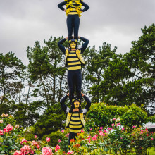 State Rose & Garden Show 2019 