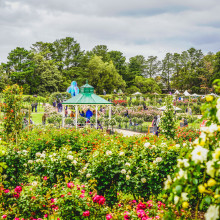 State Rose & Garden Show 2019 
