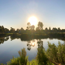 Sunset by a creek