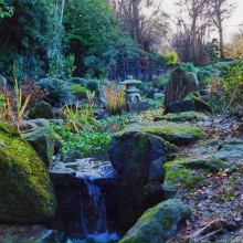 A waterfall in a rocky garden