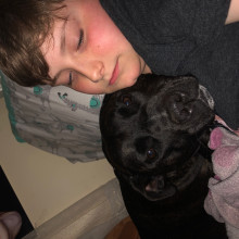 A boy and his dog