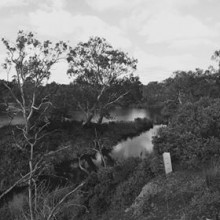 Tessa Hovell - Bungies Hole, Werribee