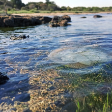 Glenn Bussey - The Waters of the Point Cook Peninsula