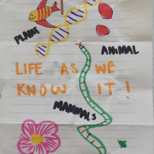 A child's design for the cover of Life as we know
