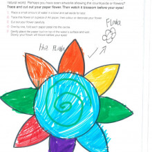 NGV's Flower worksheet, filled out by a child