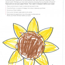 NGV's Flower worksheet, filled out by a child