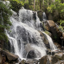 Naomi Murgatroyd - Noojee Waterfall