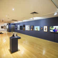 Wyndham Art Prize 2021 Installation