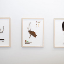 Xiang Li 'The Werribee River Book' waste, river water, seashells and dead plants on paper 2020