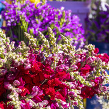 One Day Bouquet 