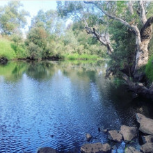 Ashlee Brown - Down By The River - River Bank