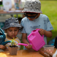State Rose & Garden Show 2022 