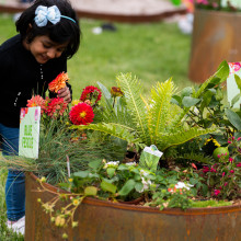 State Rose & Garden Show 2022 