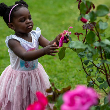 State Rose & Garden Show 2022 