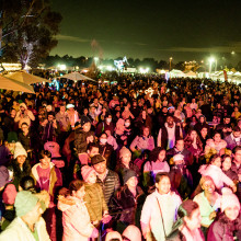 Firefly Night Market
