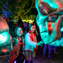Firefly Night Market