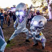 Firefly Night Market