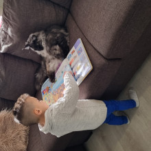 Tyler reading to Shadow