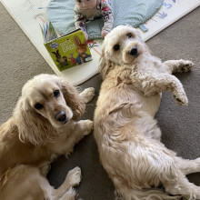 William reading to Luna and Spinner