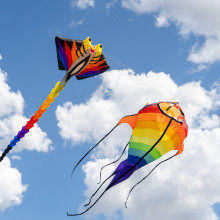 Tarneit Kite Festival