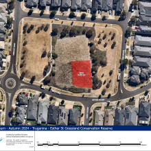 Esther St Grassland Reserve, Truganina