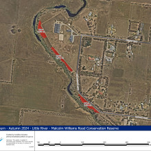 Malcolm Williams Conservation Reserve, Little River