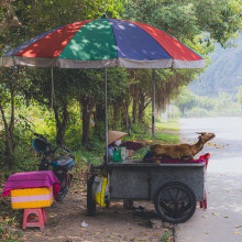 ByThe Roadside by Mario Reyes