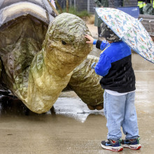 Childrens Week Picnic 2025 