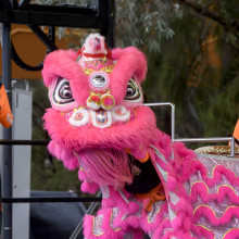 Childrens Week Picnic 2025 