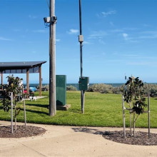 Foreshore Picnic Area