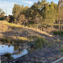 Shaheeda . Age 10. Golden Hour by the Quiet Creek 