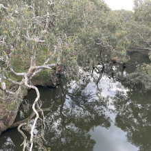 Avleen age 10. Photography of nature