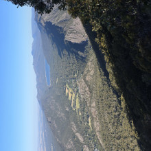 Breeze Of Nature. Navreet age 9