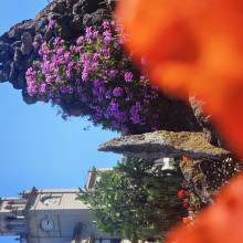 Time In Colour by Tapasya age 12