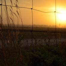 Sunset at the Grasslands by Gagan, age 11