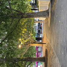 Nature by Minna, age 6