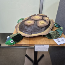 Wyndham Primary Schools Litter Sculpture Competition