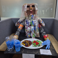Wyndham Primary Schools Litter Sculpture Competition