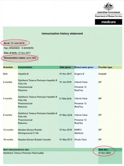 Immunisation Record 