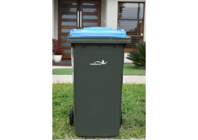 Blue Bin 2