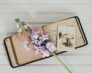 A flower over an aged photo album